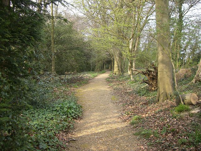 File:Darwins Thinking Path.JPG