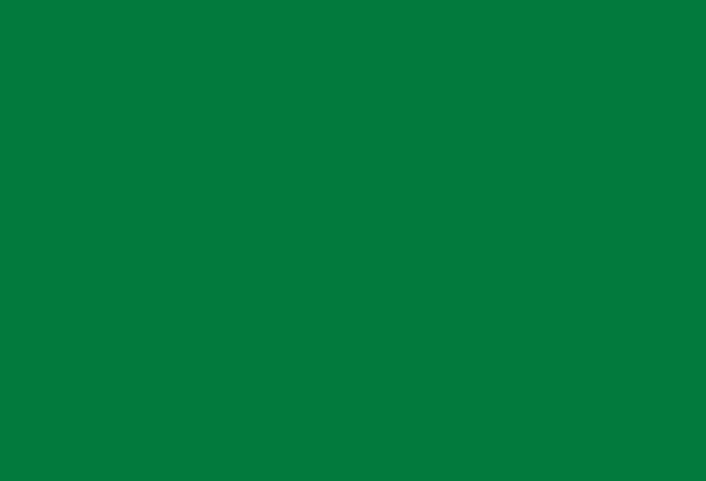 File:Flag of beni.svg
