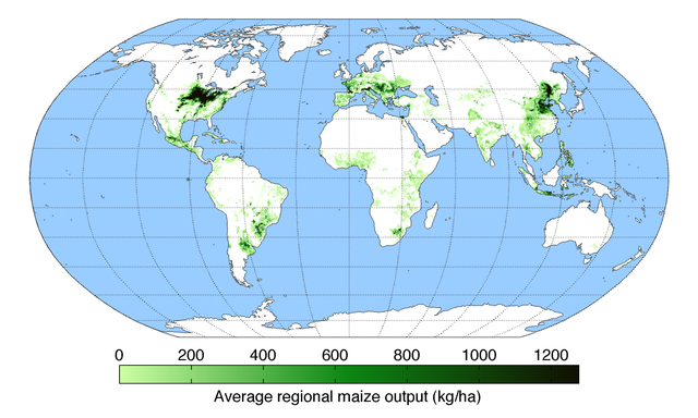 File:MaizeYield.png