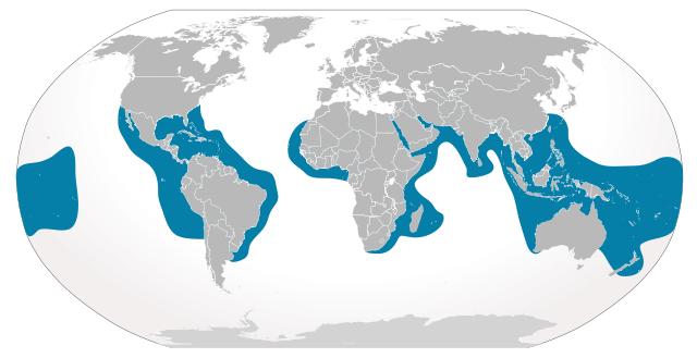 File:Cypron-Range Galeocerdo cuvier.svg