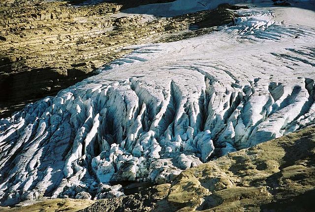 File:Jackson Glacier terminus.jpg