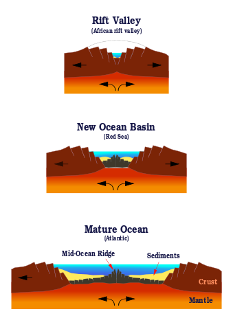 File:Ocean-birth.svg