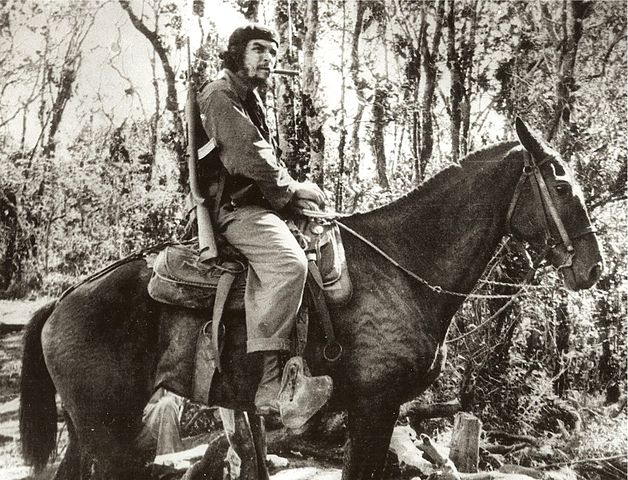 File:CheMuleFull.jpg
