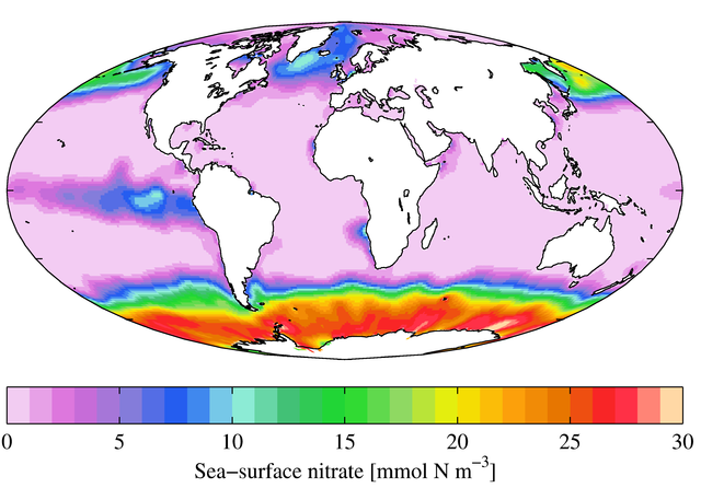 File:WOA09 sea-surf NO3 AYool.png