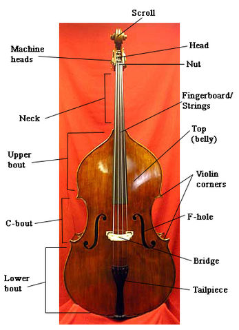 File:Bassdiagram.jpg