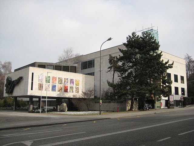 File:Natural History Museum of Geneva.JPG