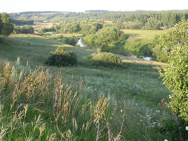 File:Осетр река.jpg