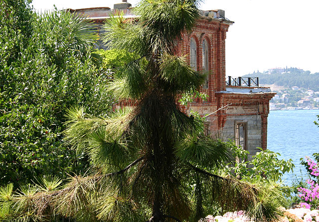 File:Trotsky House Istanbul.jpg