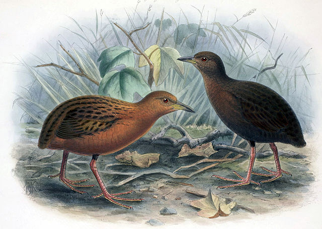 File:Hawaiirail.jpg
