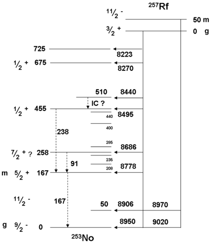 File:257Rf decay scheme 2006.png