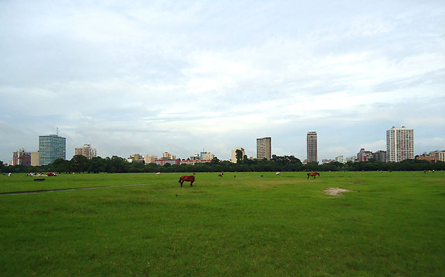File:Maidan views (5).jpg