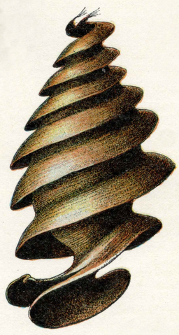 File:Oeufs002b,55.png