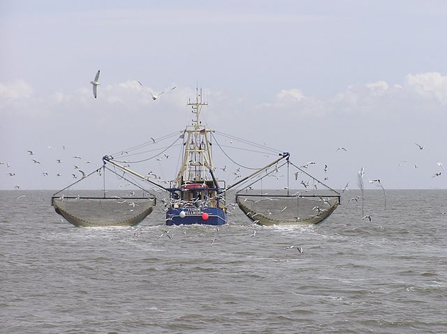 File:Krabbenkutter Ivonne Pellworm P5242390jm.JPG