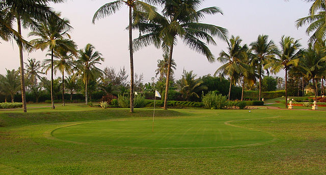 File:Golfveld.jpg