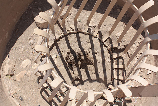File:Hatshepsut-tree.jpg