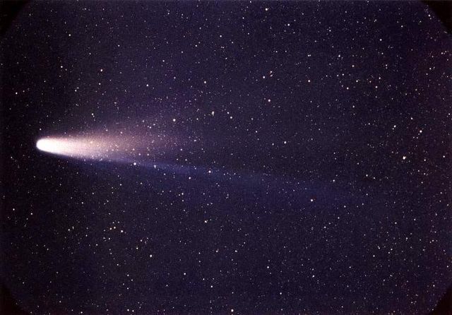 File:Lspn comet halley.jpg