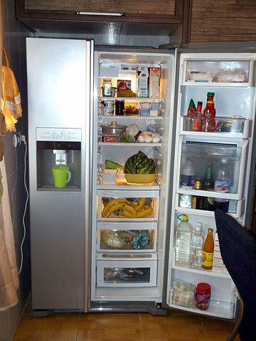 File:LG refrigerator interior.jpg