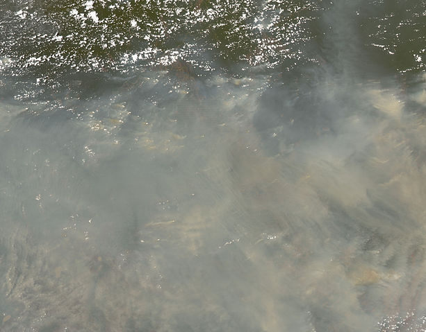 File:Fires and Deforestation on the Amazon Frontier, Rondonia, Brazil - September 30, 2007.jpg