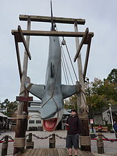 A large replica of the film's shark hangs from a wooden frame. A sign next to it says