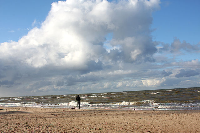 File:Capekoklka.jpg