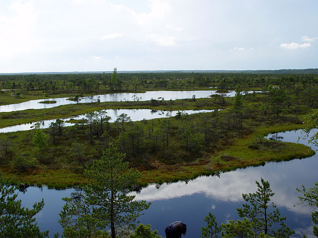 File:Liela Kemeru taka 5jul03.JPG