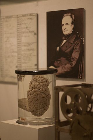 File:Babbages Brain.jpg