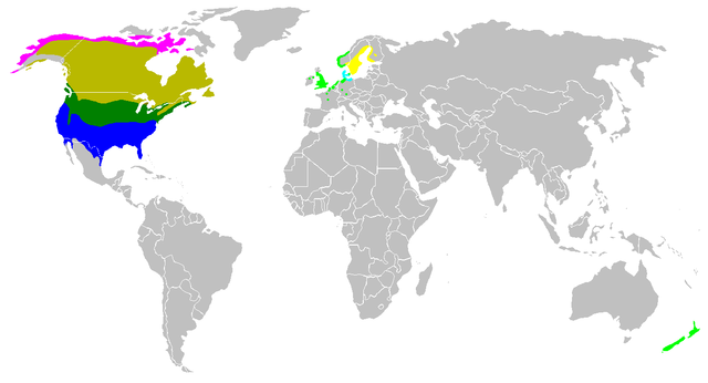 File:Branta canadensis map.png