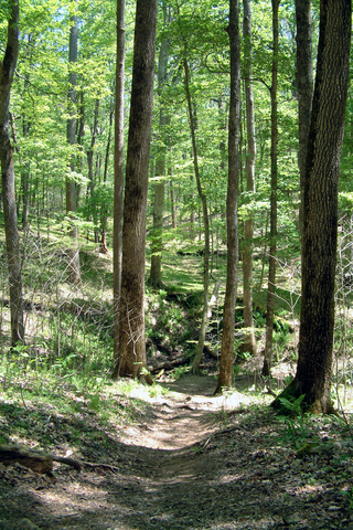 File:Mammoth Cave National Park path.png