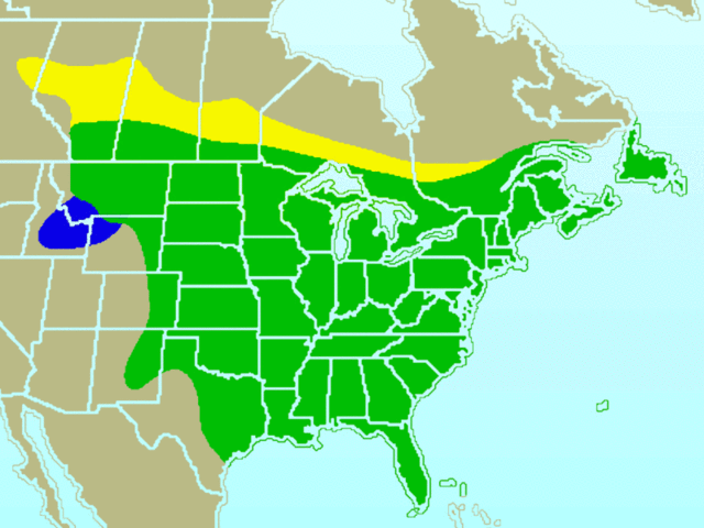 File:Blue Jay-rangemap.gif