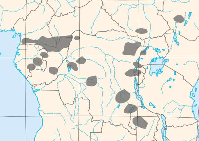 File:African Pygmies blank.png
