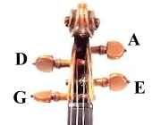 File:Violin peg strings.jpg
