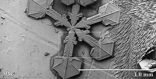 File:LT-SEM snow crystal magnification series-3 frame.jpg