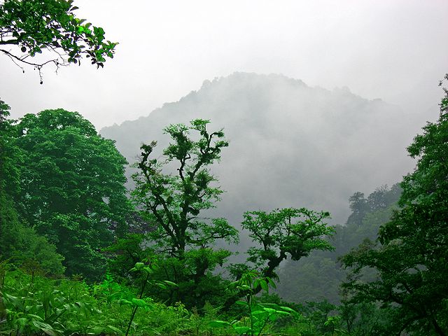 File:Ghaleye Rud Khan (40) 4.jpg