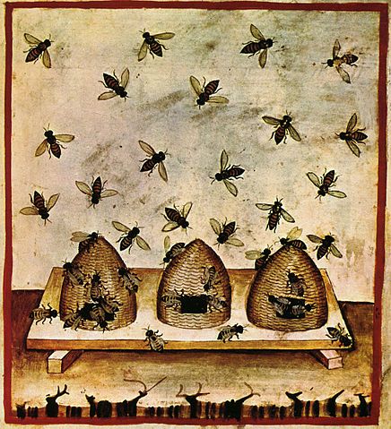 File:27-alimenti, miele, Taccuino Sanitatis, Casanatense 4182..jpg