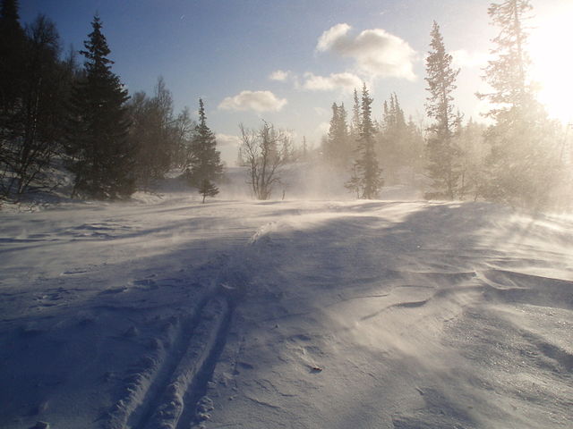 File:Snowstorm.jpg