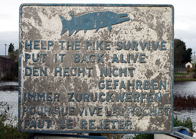 File:SaveDePike.jpg