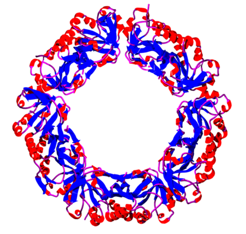 File:Peroxiredoxin.png