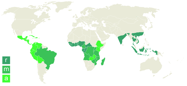 File:Carte Coffea robusta arabic.png