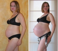 File:Pregnancy comparison.jpg
