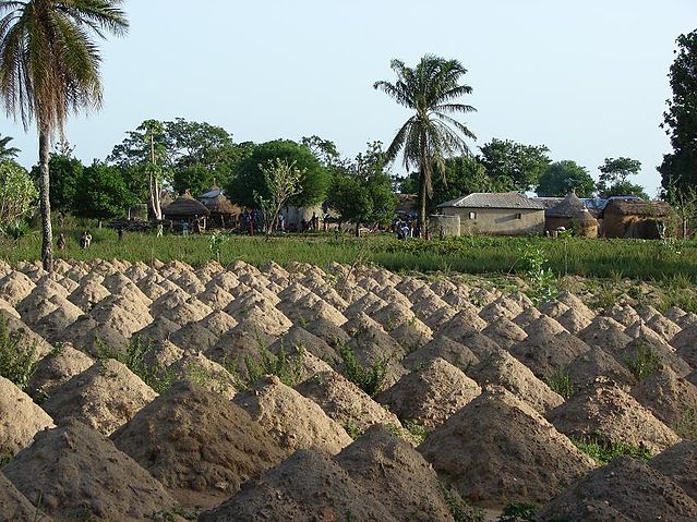 File:Sokod&eacute;-campagne.jpg
