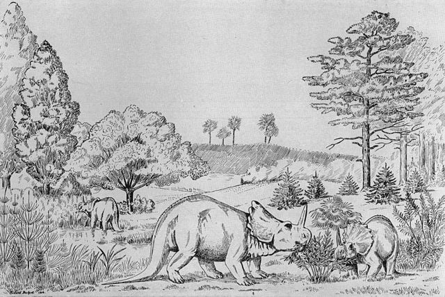 File:Monoclonius.jpg