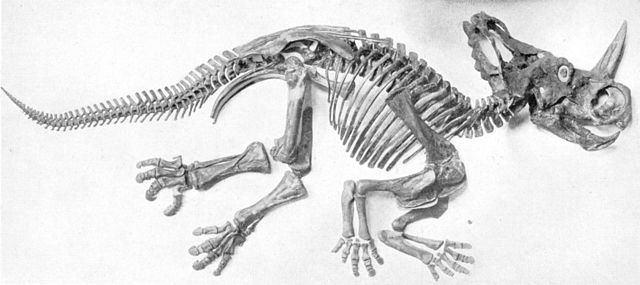 File:Sharp naturalhistory1920 monoclonius.jpg