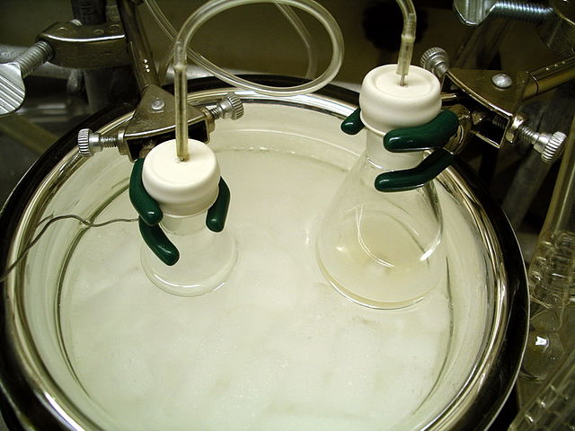 File:Aldolrxnpic.jpg