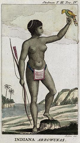 File:Arowak woman by John Gabriel Stedman.jpg