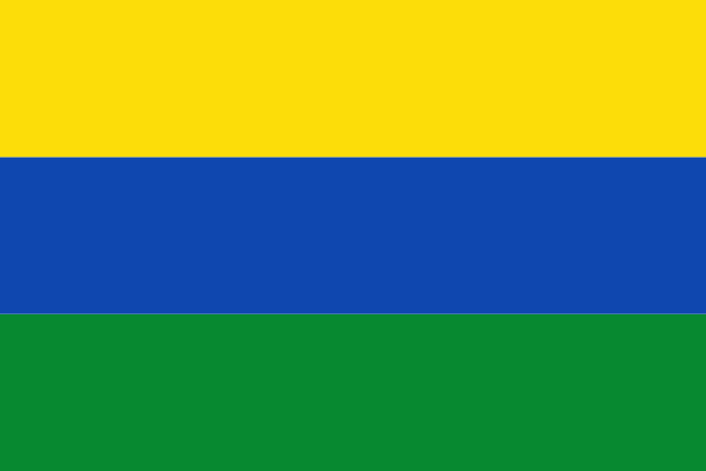 File:Flag of Guain&iacute;a.svg