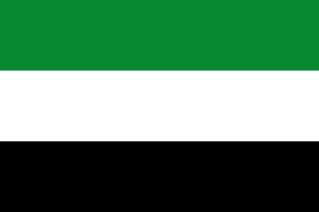 File:Flag of Putumayo.svg