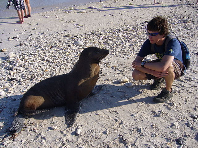 File:KneelingSeal.jpg